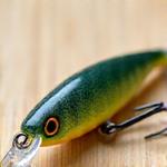 Biodegradable fishing lure with a green leaf icon